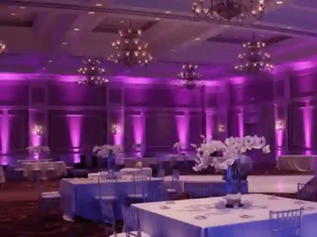 Bañadores LED profesionales