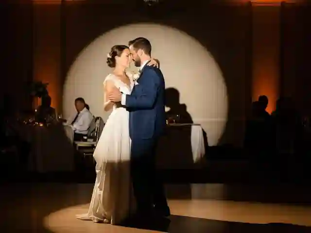 Seguidor de luz profesional